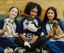 Estudantes da rede estadual transformam adoção animal em campanhas de impacto e conquistam prêmio nacional de criatividade