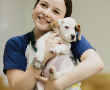 Estudantes da rede estadual transformam adoção animal em campanhas de impacto e conquistam prêmio nacional de criatividade
