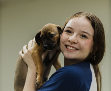 Estudantes da rede estadual transformam adoção animal em campanhas de impacto e conquistam prêmio nacional de criatividade