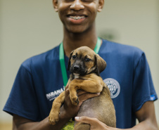 Estudantes da rede estadual transformam adoção animal em campanhas de impacto e conquistam prêmio nacional de criatividade