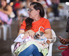 Mutirões do CastraPet vão passar por 21 municípios do Paraná em julho e beneficiar cerca de 3,3 animais.