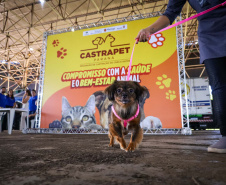CastraPet vai beneficiar seis mil cães e gatos de 37 municípios do Paraná em junho.