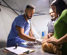CastraPet vai beneficiar seis mil cães e gatos de 37 municípios do Paraná em junho.