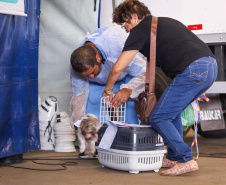 Mutirões do CastraPet vão passar por 21 municípios do Paraná em julho e beneficiar cerca de 3,3 animais.