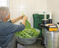 Estado reforça capacitação de mais de 7 mil profissionais da alimentação escolar