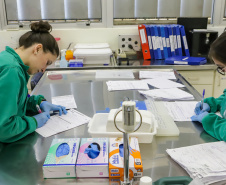 Com prazo estendido, Prêmio Paranaense de Ciência recebe inscrições até 27 de julho