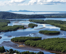 IAT leva inovação ambiental e adaptação climática para o FITCataratas 2026