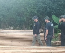 IAT - Operação Bioma Seguro