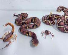 Universidades estaduais unem ensino e assistência especializada para fortalecer a toxicologia no Paraná