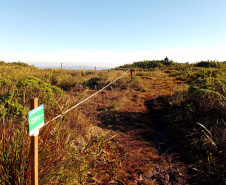 Demarcação Pico Paraná C