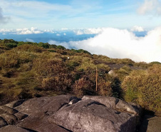 Demarcação Pico Paraná C