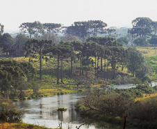 Denis Ferreira Netto/SEDEST