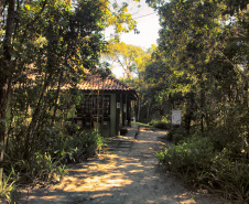 Rio da Onça: parque estadual de Matinhos, no Litoral.