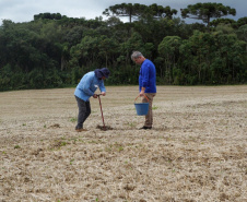 Em novo edital, Sanepar amplia disponibilidade de biossólido para a agricultura