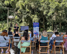 Setu: rede multiplicadora Viajantes + Seguras