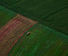 Dados federais confirmam liderança do Paraná na regularização ambiental rural do País