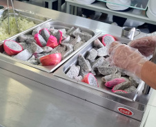 Em oito anos, Paraná investe R$ 2,8 bilhões e diversifica alimentação escolar com orgânicos, frutas nativas e tecnologia de conservação