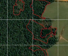 PMPR utiliza imagens de satélite e identifica desmatamento ilegal na Lapa