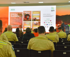 Planejamento e integração marcam preparação do Paraná para temporada de incêndios florestais