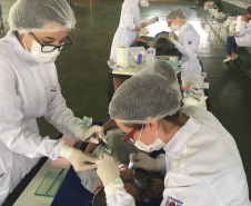 SETI - Universidades Estaduais do Paraná oferecem atendimento odontológico gratuito para bebês e crianças