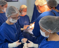 Hospital Infantil realiza cirurgia pioneira de alta complexidade para correção de deformidade craniana