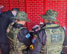 PMPR e IAT apreendem 95 aves e aplicam mais de R$ 400 mil em multas durante operação em Guarapuava