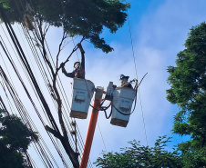 Copel realiza mutirão de poda preventiva em Cornélio Procópio e Rolândia neste domingo