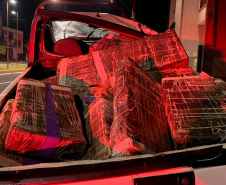 PMPR apreende mais de 5 toneladas de maconha em operações no Oeste