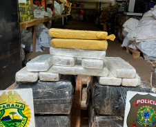 PMPR apreende mais de 5 toneladas de maconha em operações no Oeste