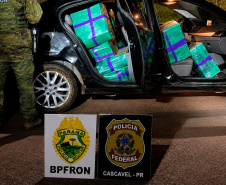 PMPR apreende mais de 5 toneladas de maconha em operações no Oeste