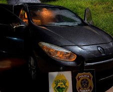 PMPR apreende mais de 5 toneladas de maconha em operações no Oeste
