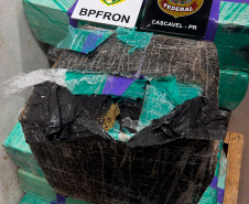 PMPR apreende mais de 5 toneladas de maconha em operações no Oeste
