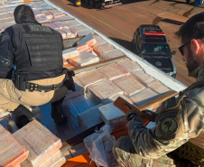 PMPR apreende mais de 5 toneladas de maconha em operações no Oeste