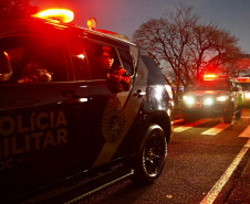 Operação SULMaSSP apreende mais de 4,6 toneladas de maconha e reforça combate ao crime organizado no Paraná