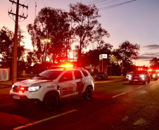 Operação SULMaSSP apreende mais de 4,6 toneladas de maconha e reforça combate ao crime organizado no Paraná