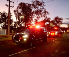 Operação SULMaSSP apreende mais de 4,6 toneladas de maconha e reforça combate ao crime organizado no Paraná
