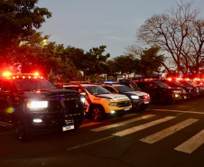 Operação SULMaSSP apreende mais de 4,6 toneladas de maconha e reforça combate ao crime organizado no Paraná