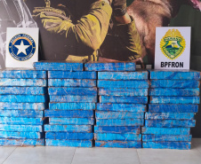 PMPR apreende mais de 1,6 tonelada de maconha em duas ações; prejuízo ao crime passa de R$ 3,3 milhões