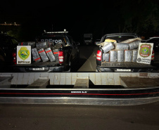 PMPR apreende mais de 1,6 tonelada de maconha em duas ações; prejuízo ao crime passa de R$ 3,3 milhões