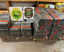 PMPR apreende mais de 1,6 tonelada de maconha em duas ações; prejuízo ao crime passa de R$ 3,3 milhões