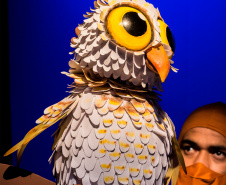 Festival de Teatro de Bonecos começa neste domingo em Curitiba