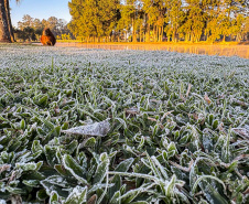 CIDADES PARANAENSES AMANHECEM COM GEADA E RECORDE DE TEMPERATURA MÍNIMA