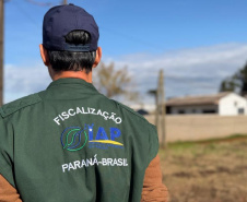 IAT - Loteamento irregular Cascavel