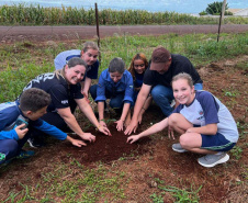Paraná regulamenta Parque Escola e fortalece educação ambiental nas Unidades de Conservação