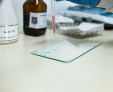  Dos testes de rotina às novas drogas sintéticas: como a Polícia Científica identifica substâncias apreendidas