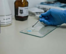  Dos testes de rotina às novas drogas sintéticas: como a Polícia Científica identifica substâncias apreendidas
