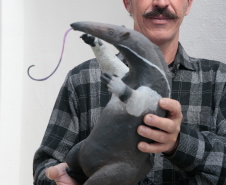 MCAA - Rodrigo Bertoli