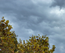 CLIMA