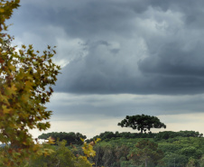 CLIMA