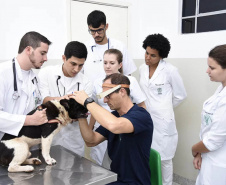 Universidades estaduais oferecem assistência veterinária para animais de pequeno e grande porte